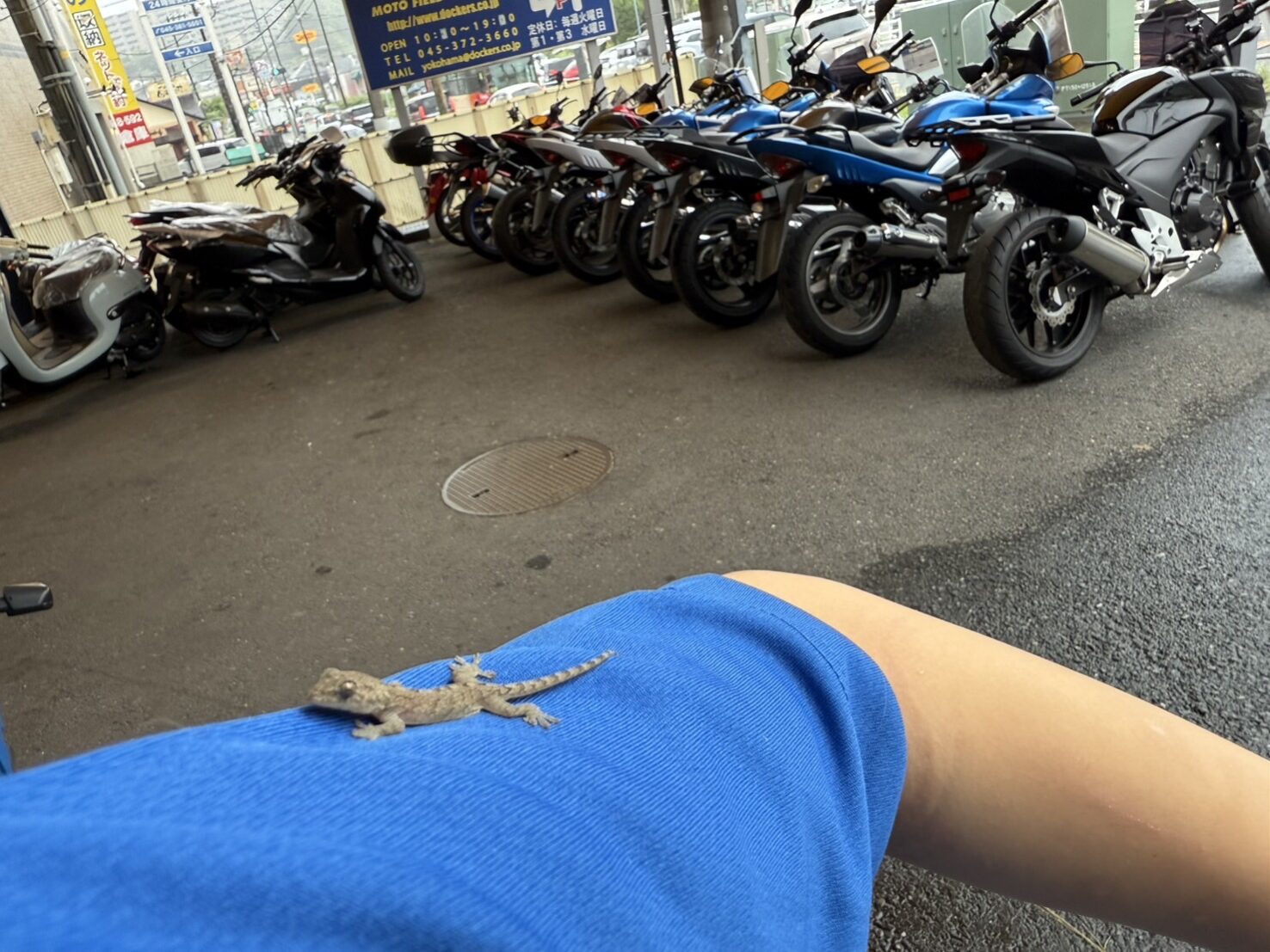 雨なので皆さまお気をつけてご来店くださいませ✨